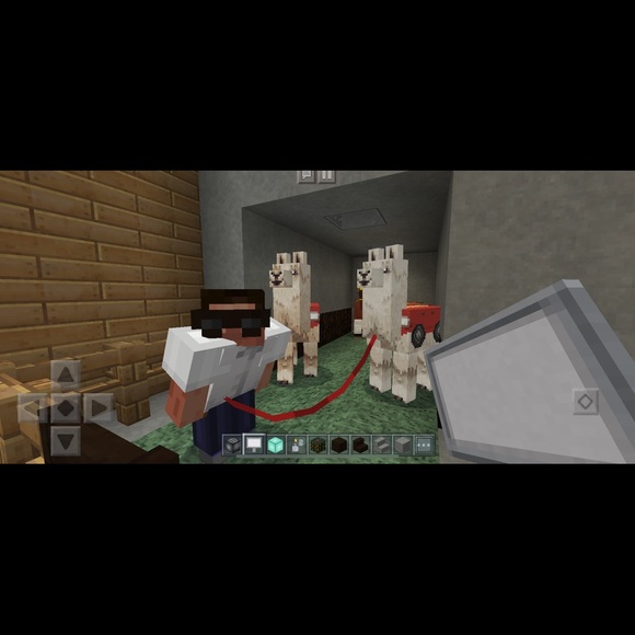 Meet your Posher, Maddy - Picture 1 of 1